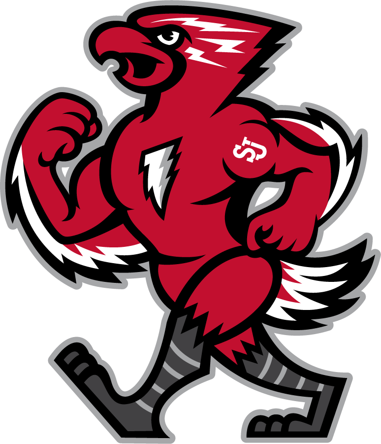 St. John's Red Storm 2015-Pres Mascot Logo DIY iron on transfer (heat transfer)